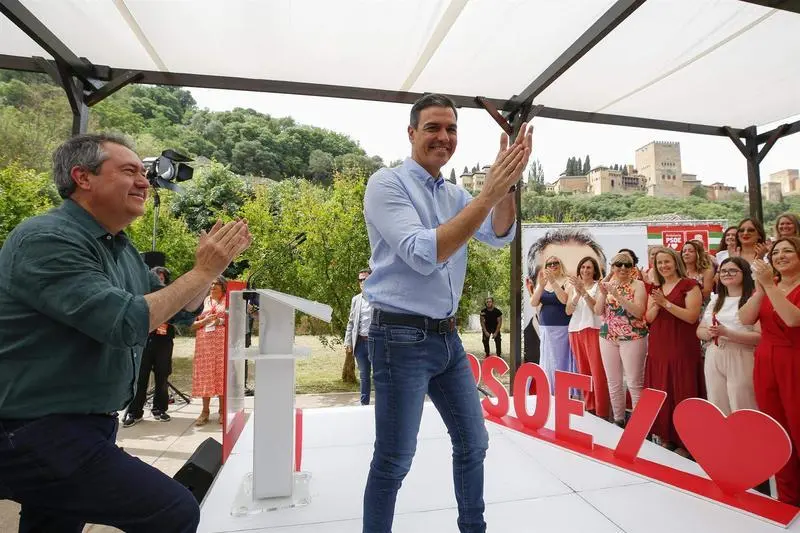 <p> El presidente del Gobierno y secretario general del PSOE, Pedro S&aacute;nchez </p>
