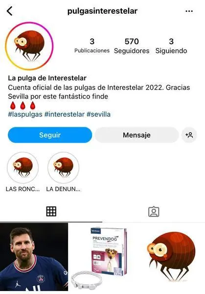 <p> Cuenta creada en Instagram por usuarios afectados de la plaga - captura de pantalla </p>