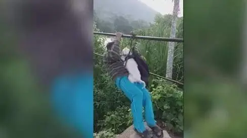 <p> Cruzando un r&iacute;o en tirolina junto a su perro | Mascotas adorables - YOUTUBE - VIDELO </p>