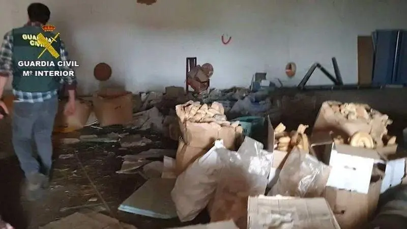 <p> Imagen del mataderp </p>