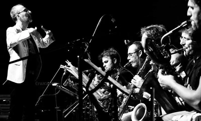 <p> M&uacute;sicos en concierto. </p>