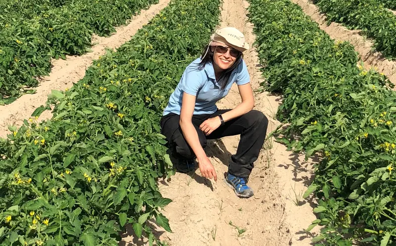 <p> La investigadora del INIA-CSIC Ana de Castro recibe el premio Pierre C. Robert Precision Agriculture </p>