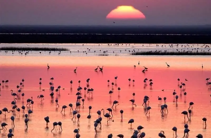 <p> Un atardecer en Do&ntilde;ana. </p>