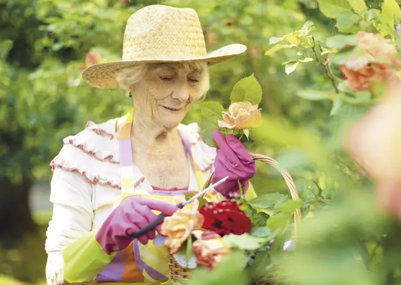 <p> Archivo - Mayor, anciana, jard&iacute;n, jardiner&iacute;a - SANITAS - Archivo </p>
