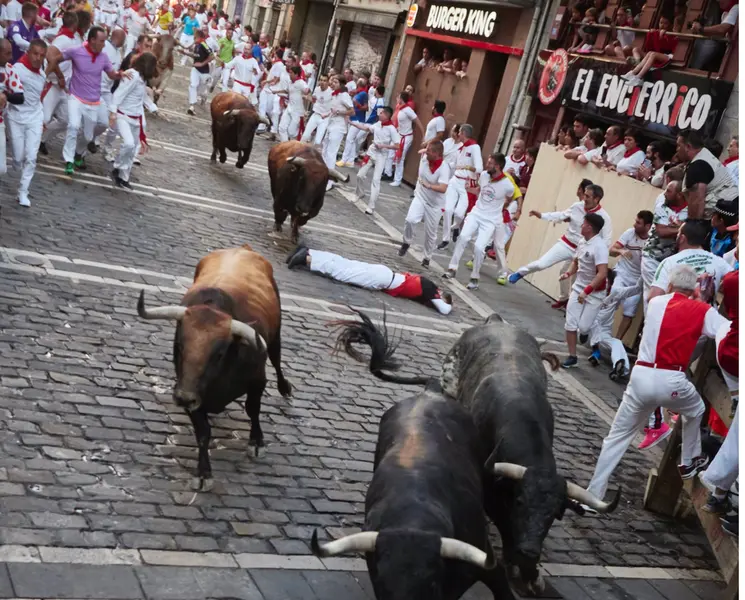 <p> Encierro de los Cebada Gago. - EDUARDO SANZ NIETO </p>