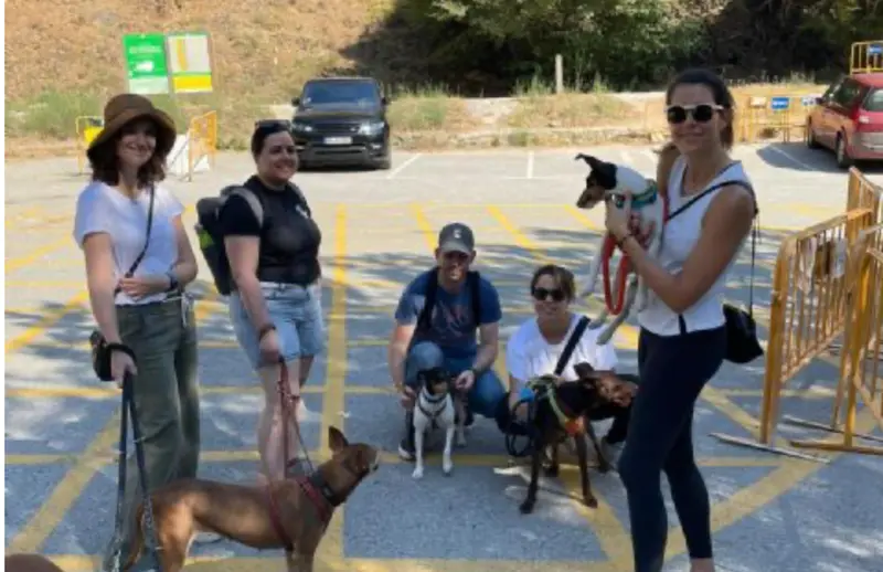 <p> Vecinos con perros. NEXTDOOR </p>