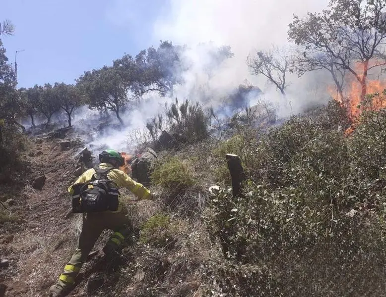<p> Bomberos del Infoca trabajan en la extinci&oacute;n del incendio forestal declarado el viernes 15 de julio en la Sierra de Mijas y que se ha dado por estabilizado el domingo. - JdeA </p>