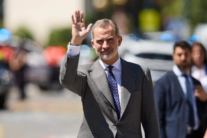 <p> El Rey Felipe VI en una imagen de archivo. - Ion Alcoba - Europa Press </p>