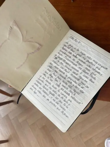 <p> La extensa carta de Paula, la fan de 15 a&ntilde;os de Rosal&iacute;a </p>