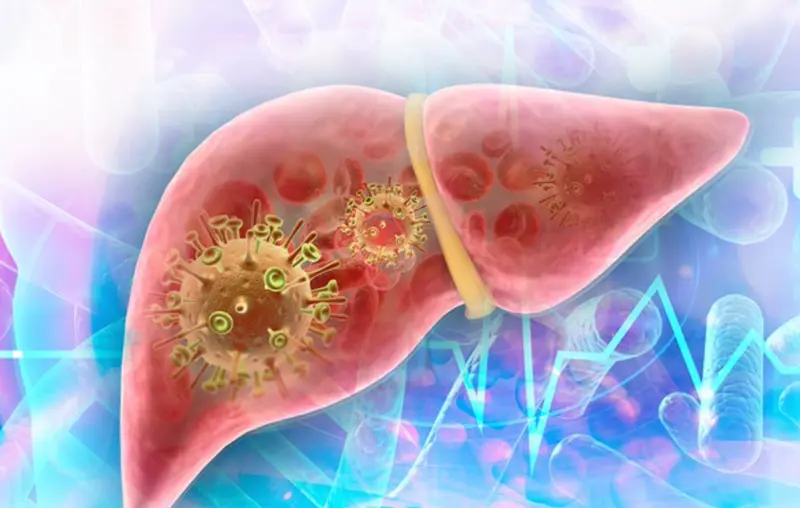 <p> Archivo - Virus hepatitis, h&iacute;gado. - RASI BHADRAMANI/ ISTOCK - Archivo </p>