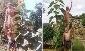 <p> Paul y Sandy Szewc recreando la misma foto 40 a&ntilde;os despu&eacute;s &ndash; SWNS </p>