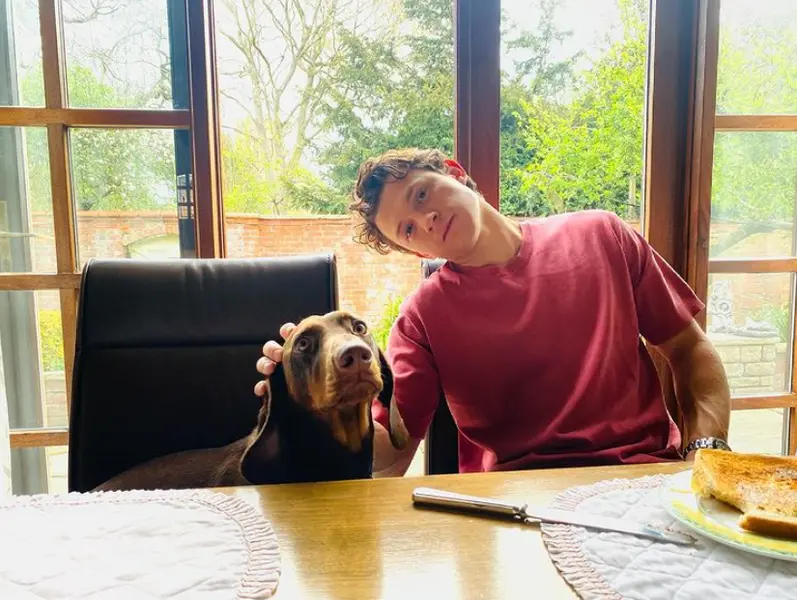 <p> El actor Tom Holland en una publicaci&oacute;n compartida en sus redes sociales. </p>