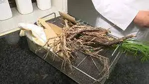 <p> Biocombustible a partir de ramas, tela y cart&oacute;n </p>