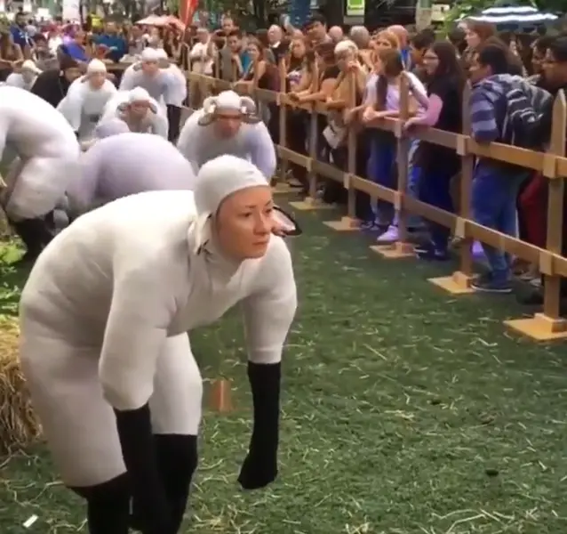 <p> Humanos disfrazados de ovejas. Fuente: Twitter </p>