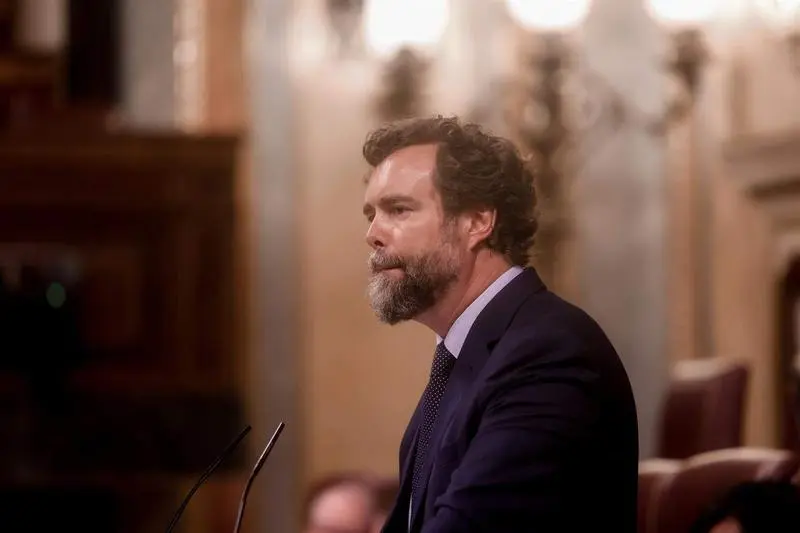 <p> El portavoz del Grupo Parlamentario de Vox </p>