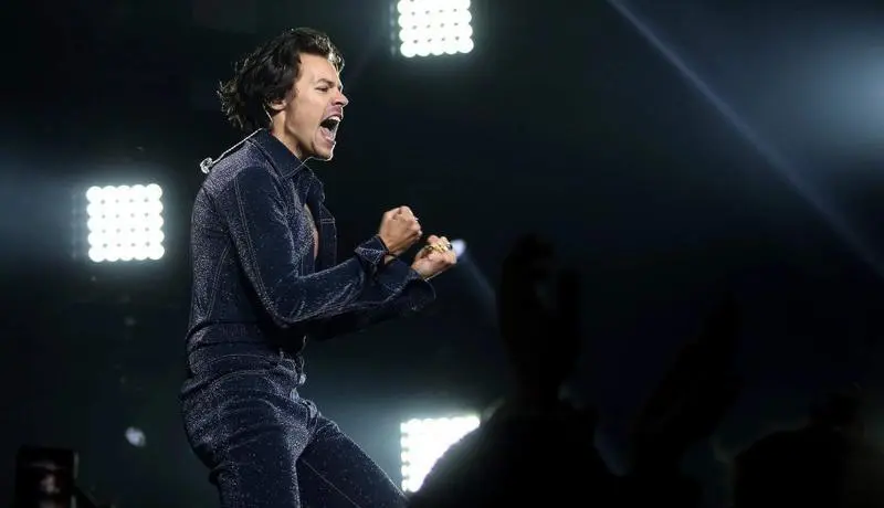 <p> Harry Styles </p>