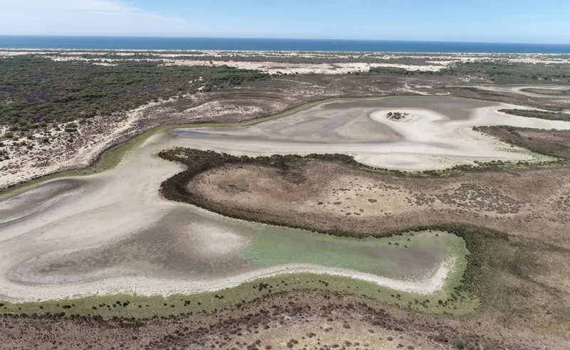 <p> Laguna de Santa Olalla, en Do&ntilde;ana, seca en agosto de 2022. - BANCO DE IM&Aacute;GENES DE LA EBD/CSIC </p>
