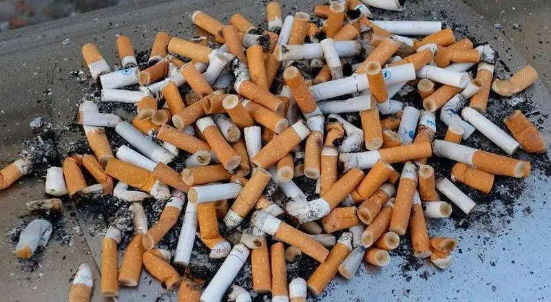 <p> Mont&oacute;n de colillas </p>