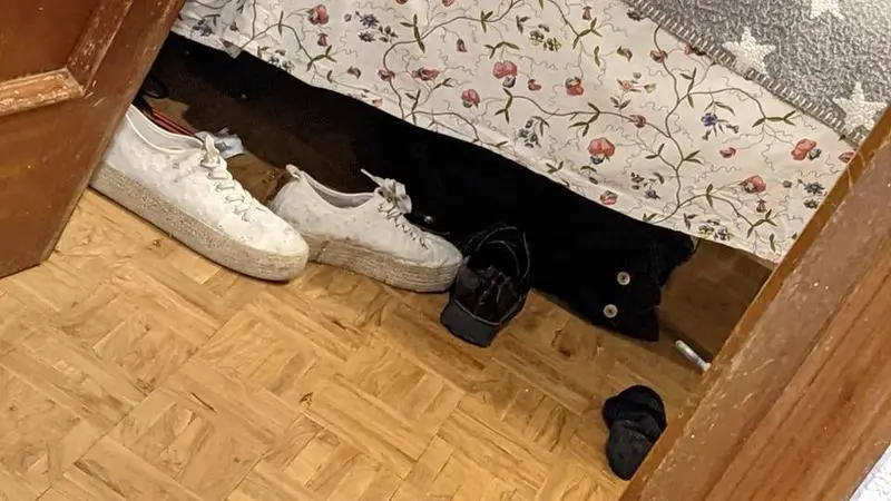 <p> Imagen de la jardinera con la que confundi&oacute; a su gata </p>