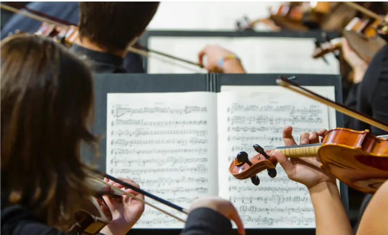 <p> La medida afecta a las plazas ofertadas en ense&ntilde;anzas superiores de M&uacute;sica, Danza, Dise&ntilde;o y Arte Dram&aacute;tico. </p>