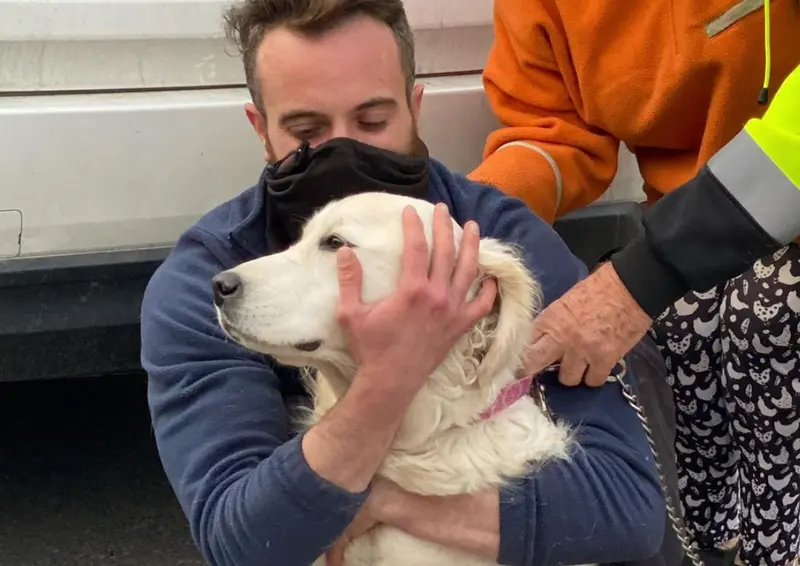 <p> La perrita encontrado. </p>