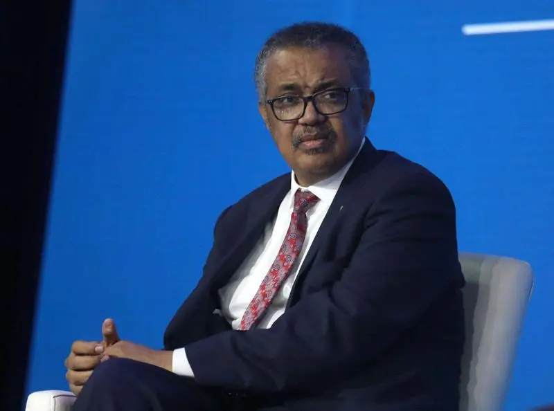 <p> Director general de la World Health Organization Tedros Adhanom </p>