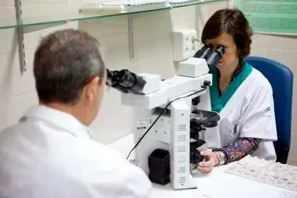 <p> Investigadores del c&aacute;ncer </p>