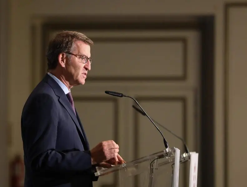 <p> El presidente del Partido Popular, Alberto N&uacute;&ntilde;ez Feij&oacute;o </p>