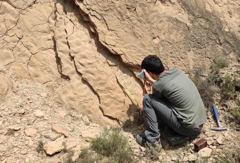 <p> Yacimiento en la provincia de Huesca. - UNIVERSIDAD DE ZARAGOZA </p>
