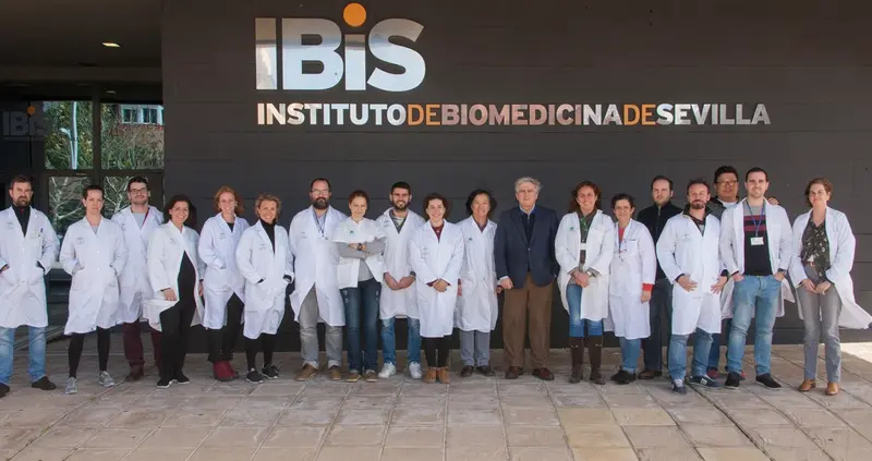 <p> Investigadores del IBiS describen el mecanismo mediante el que se detecta el ox&iacute;geno de la sangre - UNIVERSIDAD DE SEVILLA </p>