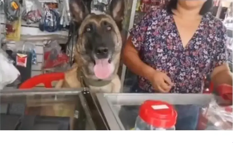 <p> Imagen de la perra ferretera junto a su due&ntilde;a </p>