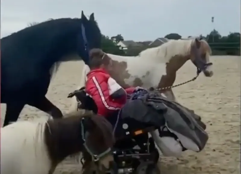 <p> Faye O'Hara via TikTok </p>