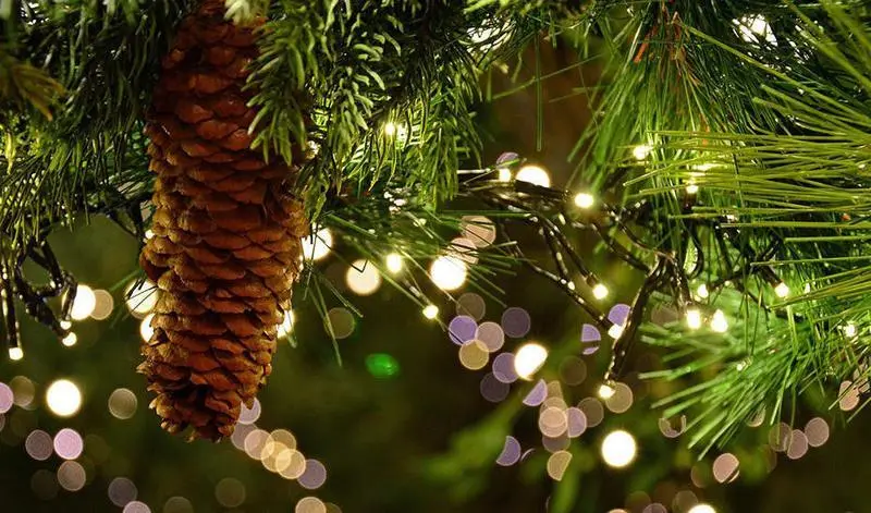 <p> Luces de navidad </p>