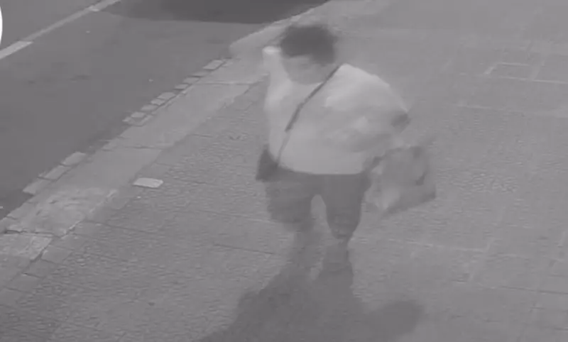 <p> Imagen de la supuesta secuestradora de un beb&eacute; - ERTZAINTZA </p>