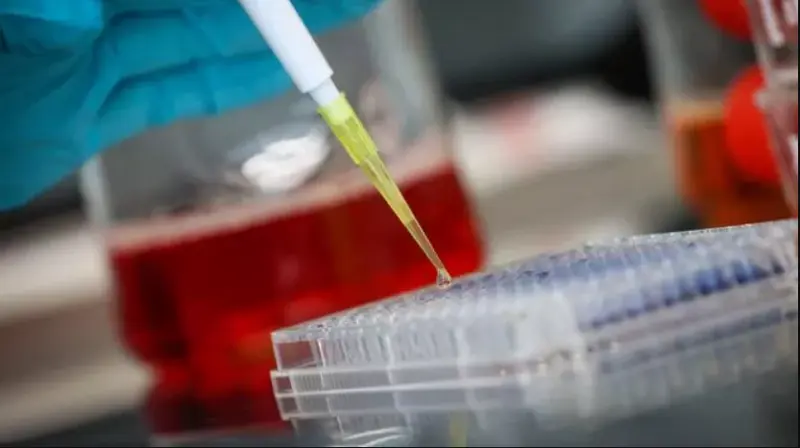 <p> Primer ensayo de Omomyc </p>