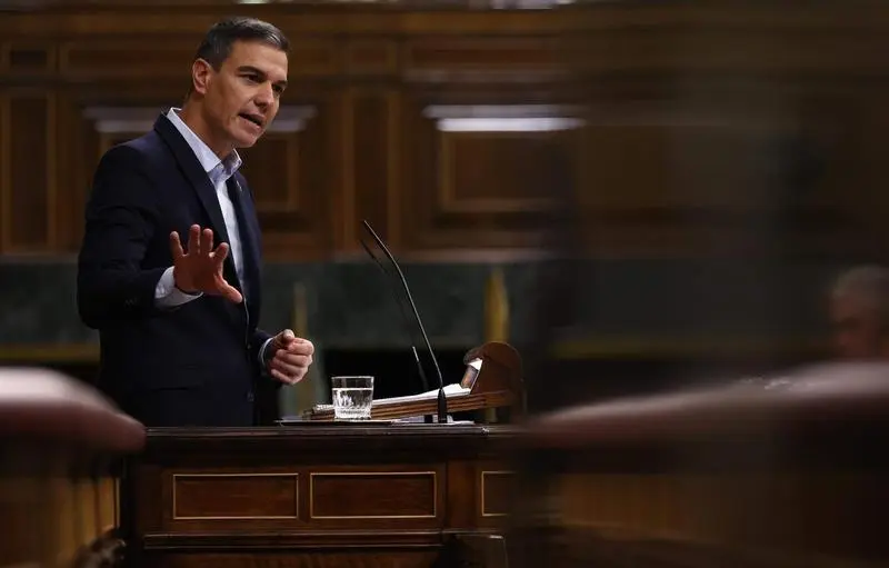 <p> El presidente Pedro S&aacute;nchez </p>