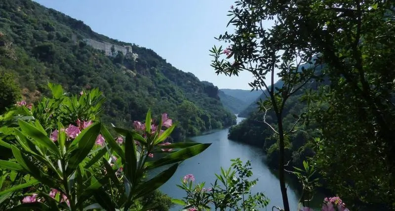 <p> Las hojas ca&iacute;das de las hayas cubren el suelo del Hayedo de Busmayor dentro de los Ancares Leoneses, a 27 de octubre de 2022, en El Bierzo, Le&oacute;n, Castilla y Le&oacute;n (Espa&ntilde;a). El hayedo de Busmayor es uno de los bosques de hayas mejor conservados de toda Espa - Carlos Castro - Europa Press </p>