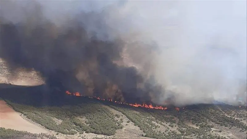 <p> Incendio cerca de Monte Malag&oacute;n - Ayuntamiento de Belalc&aacute;zar </p>