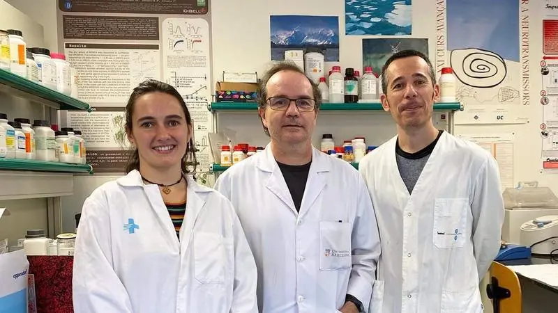 <p> Investigadores responsables del estudio - UB </p>