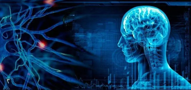  Enfermedad de Parkinson 