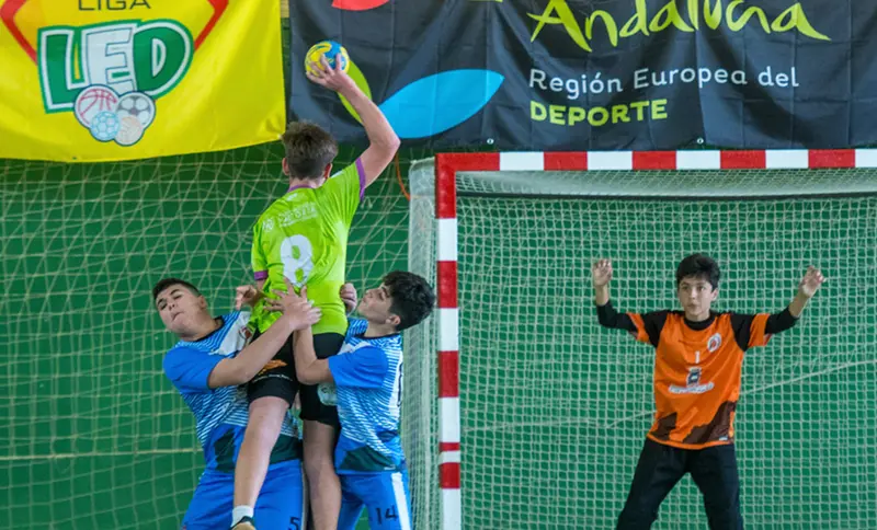  Escolares andaluces en un partido de balonmano de la Liga LED. 