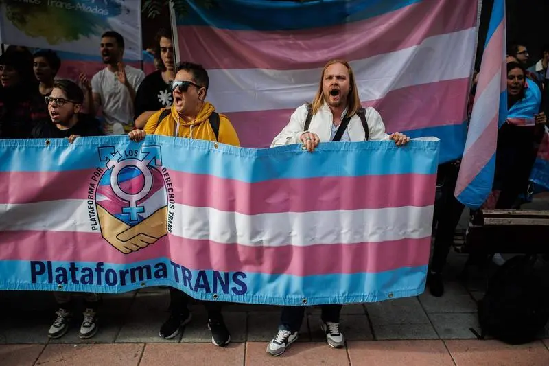  Varias personas con banderas trans durante una concentraci&oacute;n de la Federaci&oacute;n Plataforma Trans 
