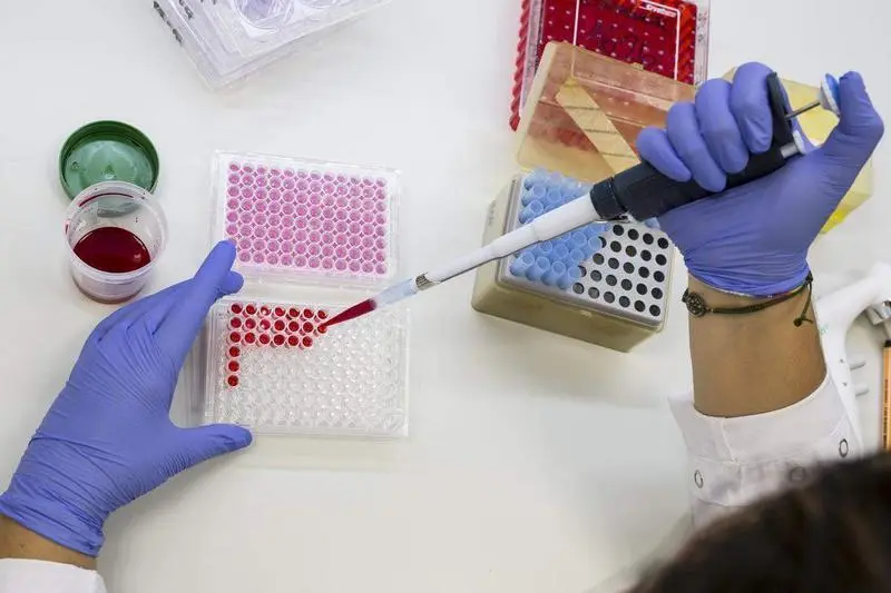  Investigaci&oacute;n del C&aacute;ncer de Mama 