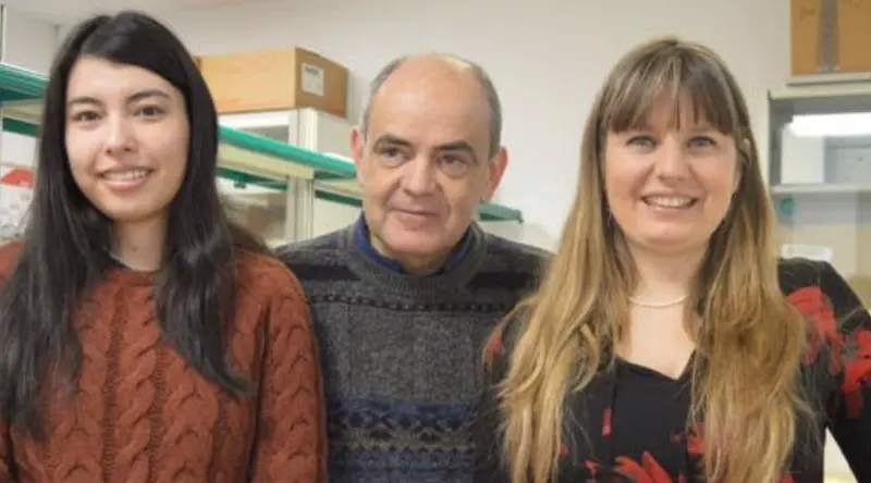  Cient&iacute;ficos detectan la uni&oacute;n de dos prote&iacute;nas que intervienen en el c&aacute;ncer. - FUNDACI&Oacute;N DESCUBRE 