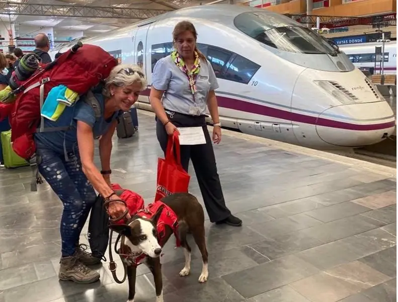  Una perrita de tres a&ntilde;os, la primera mascota de hasta 40 kilos que viaja en un AVE desde Zaragoza-Delicias - RENFE 