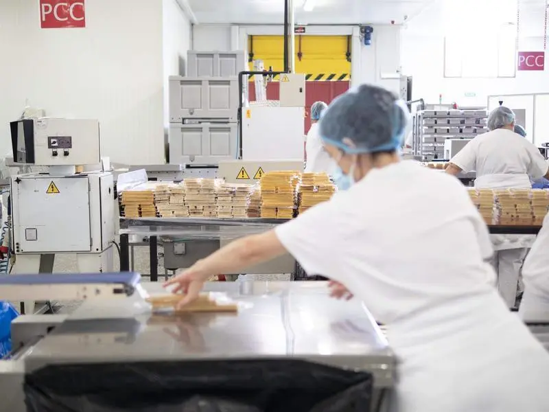  Archivo - Las operarias en la elaboraci&oacute;n - CONSEJO REGULADOR IGP - Archivo 