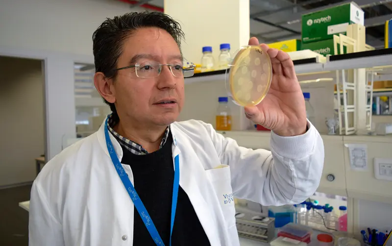  Cient&iacute;ficos del CSIC ense&ntilde;an a bacterias a &lsquo;leer&rsquo; se&ntilde;ales del c&oacute;digo morse 