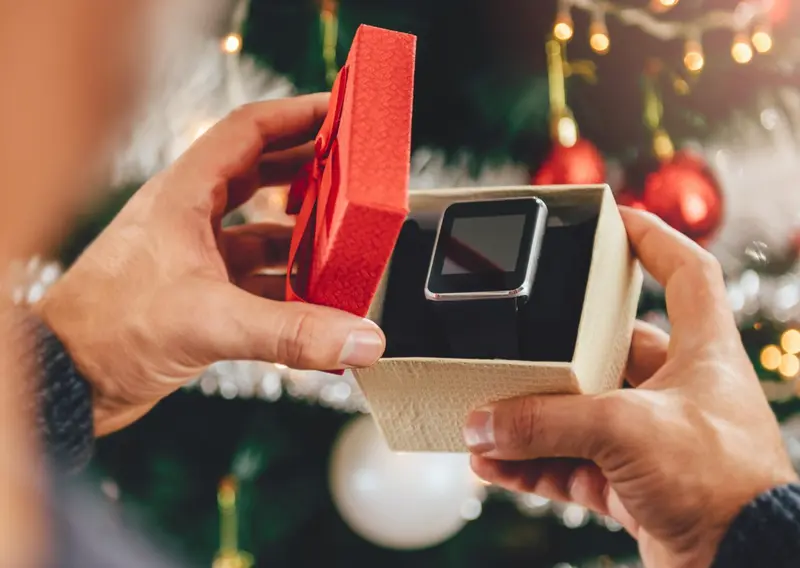  Regalo de navidad- - ZIVICA KERKEZ 