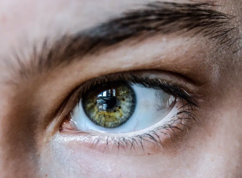  Archivo - Ojo. Pupila, retina. - CSIC - Archivo 