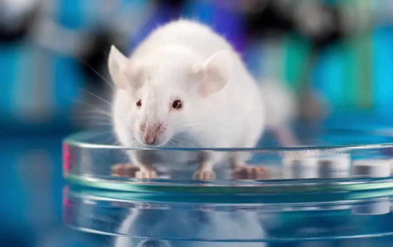  Archivo - Workplace modern laboratory for molecular biology test on blue background - JACOBSTUDIO - Archivo 